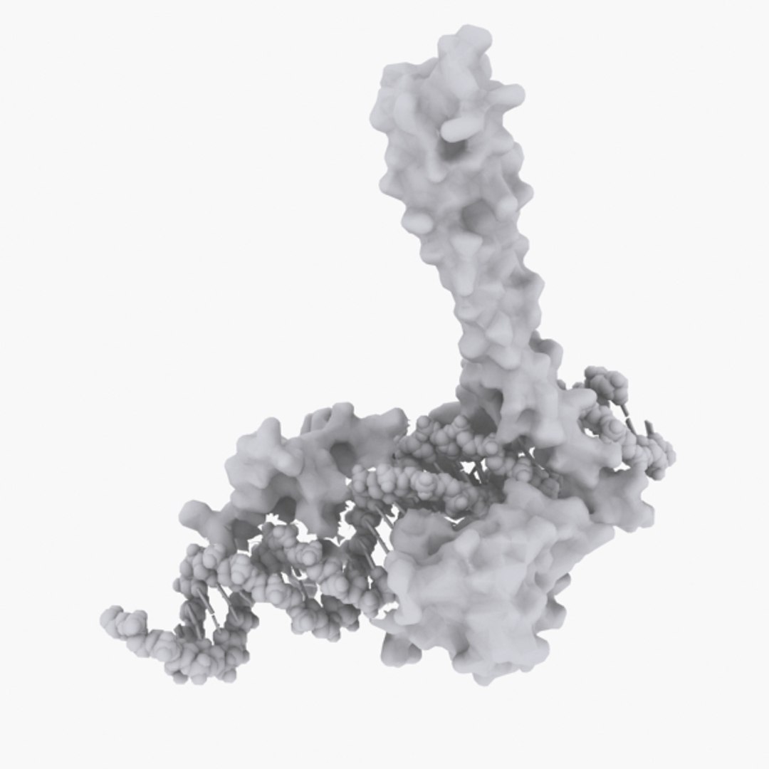 Enhanceosome Protein Organic Max