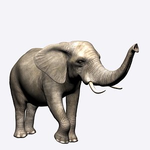 elephant model