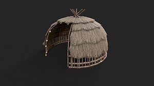 Primitive Wooden Shelter with Thatch Roof 6