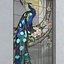 Pfau Buntglas