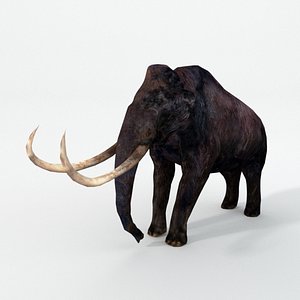3D model mammoth