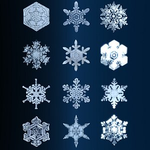 Snowflake 3D Models for Download