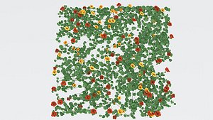 3D IVY PLANT