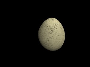 3d goose egg mol
