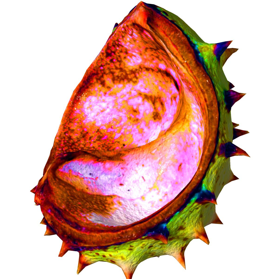 3ds peel chestnut tree plant https://p.turbosquid.com/ts-thumb/Nj/AHiI6t/GeDzdn4X/v/jpg/1352635055/1920x1080/turn_fit_q99/12151645bc2c3ebc7c94d218d2b93be88918c532/v-1.jpg