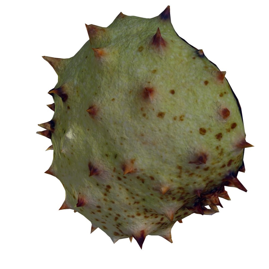 3ds peel chestnut tree plant https://p.turbosquid.com/ts-thumb/Nj/AHiI6t/UHpT3nBe/v0038/jpg/1352634907/1920x1080/fit_q87/36b4069c6addedd636bbeb9b466edbd3d756650e/v0038.jpg