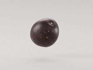 Passion Fruit 3d model