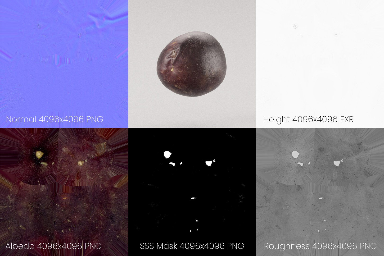 Passion Fruit 3d Model 3D - TurboSquid 2170536