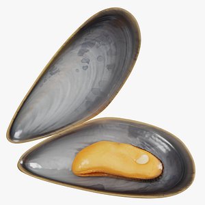 3D Boiled Sea Mussel model