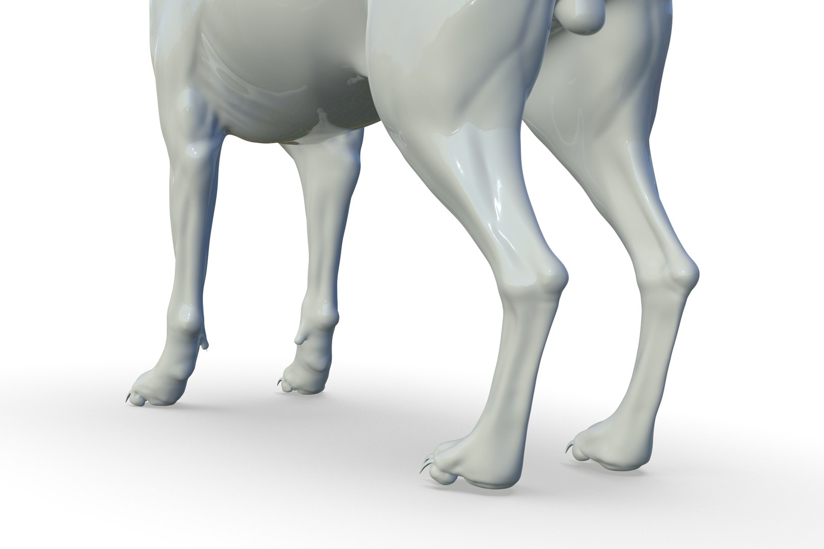 Coyote 3D model https://p.turbosquid.com/ts-thumb/Nj/F9CdAI/7S/render_17/jpg/1710940066/1920x1080/fit_q87/d7c1b9b9d3e0ef4dec32478a973fe86284eb9de6/render_17.jpg