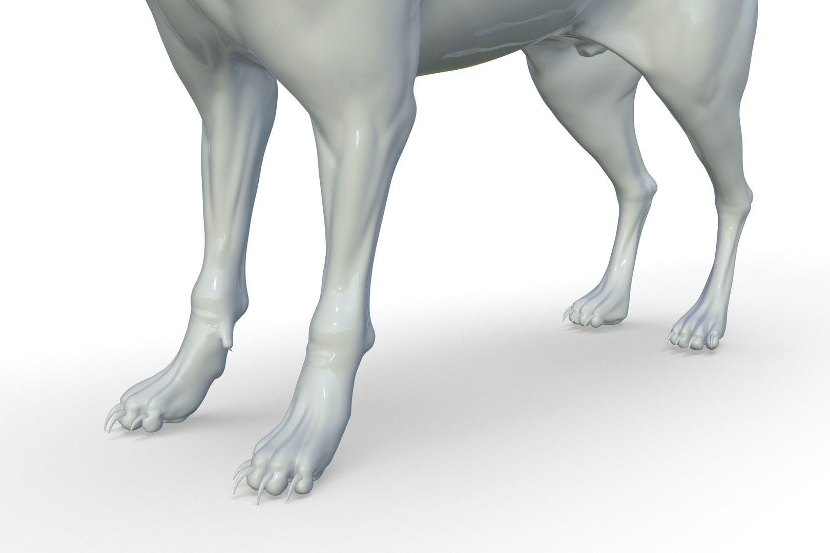 Coyote 3D model https://p.turbosquid.com/ts-thumb/Nj/F9CdAI/c7/render_16/jpg/1710940066/1920x1080/fit_q87/7fef045269a9177d3aac33544b0fcc091b53de39/render_16.jpg