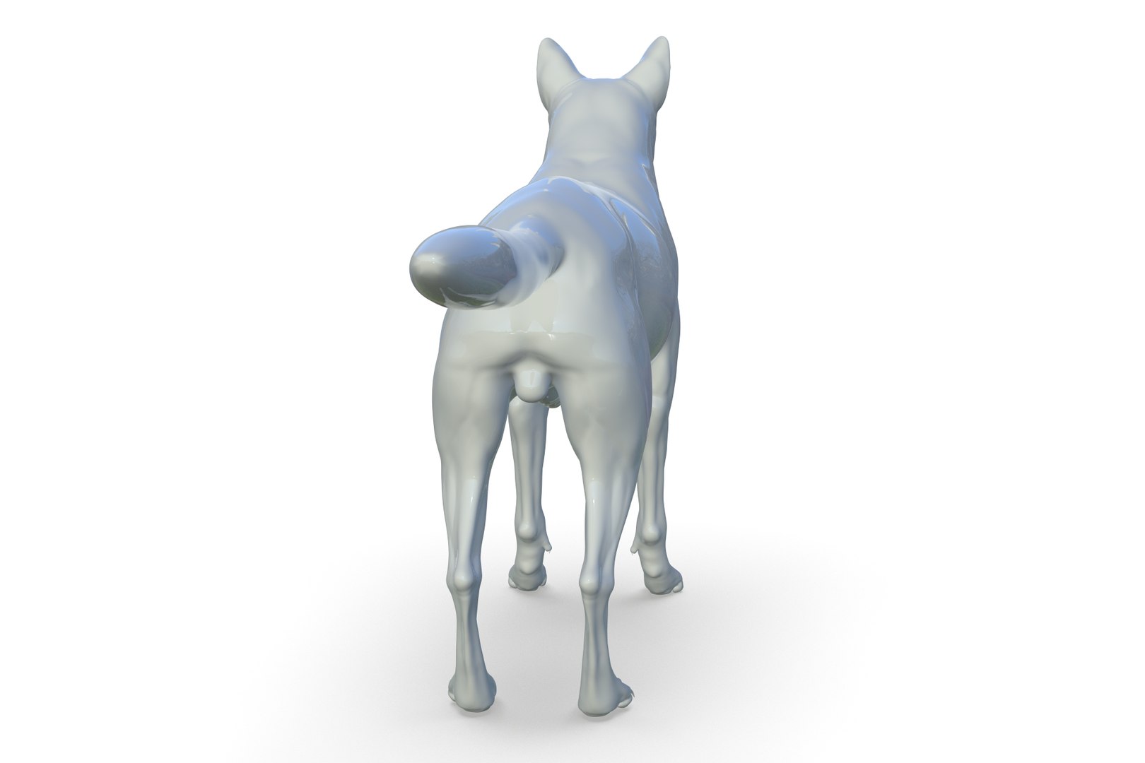 Coyote 3D model https://p.turbosquid.com/ts-thumb/Nj/F9CdAI/yu/render_06/jpg/1710940059/1920x1080/fit_q87/e875f125690b475ee59bfb21129a8d87ddcd7959/render_06.jpg