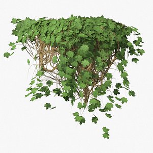 ivy pbr branches 3D model