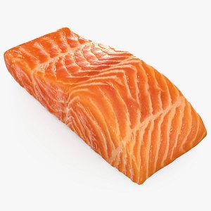 Salmon Fillet 01 3D