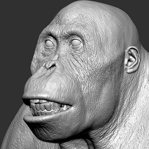 3D Orangutan  VFX Head Zbruh sculpture model