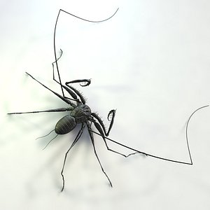 3d model whip scorpion