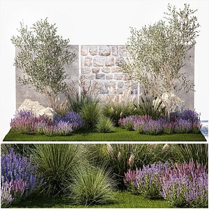 Beautiful garden with olive lavender and feather grass 1375 3D
