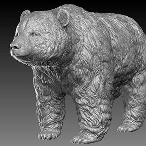 3D panda bear realistic