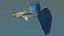 Guppy Blue grass tail
