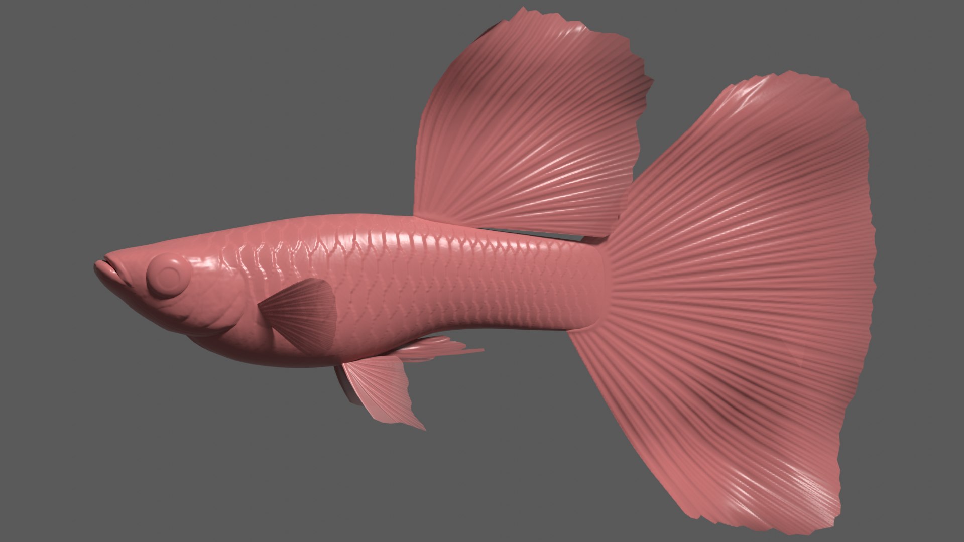 guppy bluegrass 3d 3ds https://p.turbosquid.com/ts-thumb/Nj/ZiqlWF/rB/guppybluegrassbump/png/1637381040/1920x1080/fit_q87/2aafe945baf2858b8949ce40147aae1ce0fba871/guppybluegrassbump.jpg