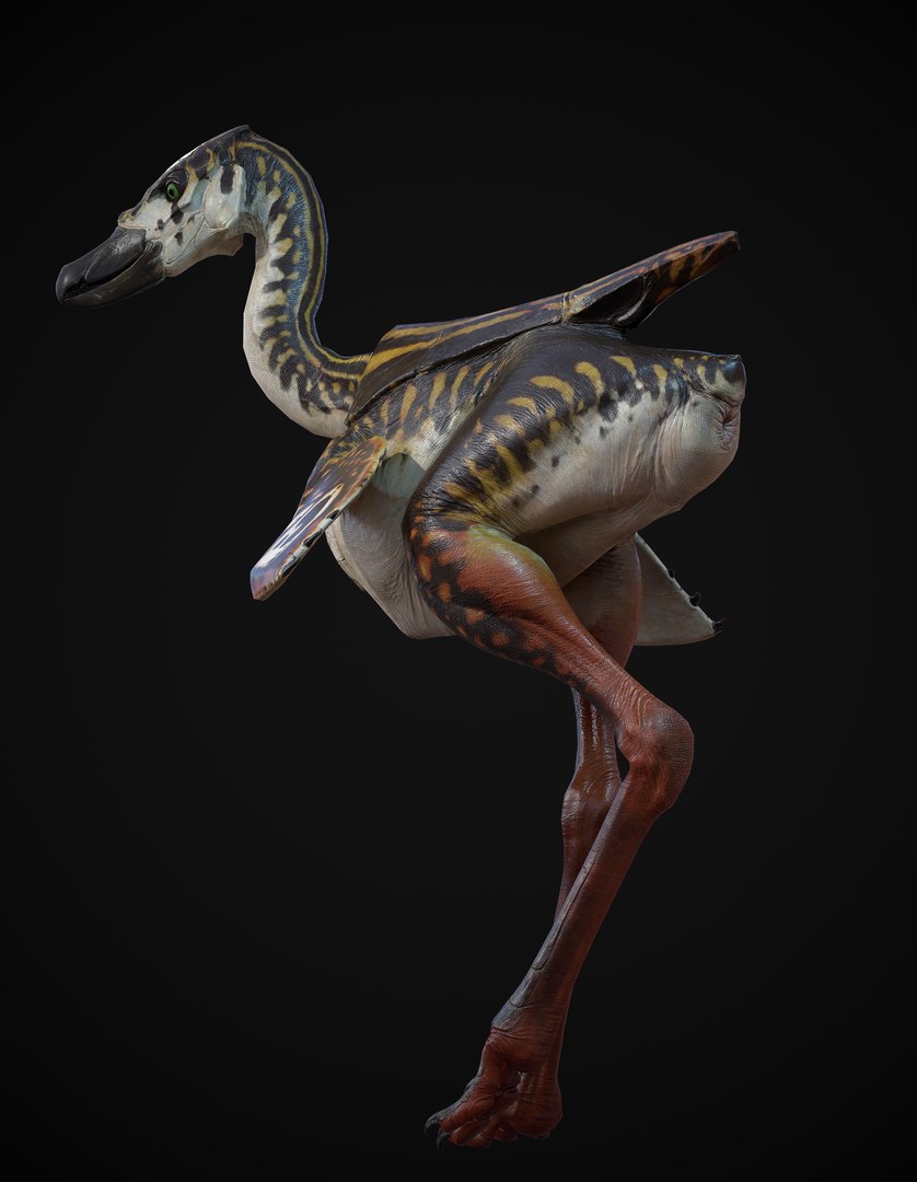 Flightless Alien Bird Model - TurboSquid 2381489