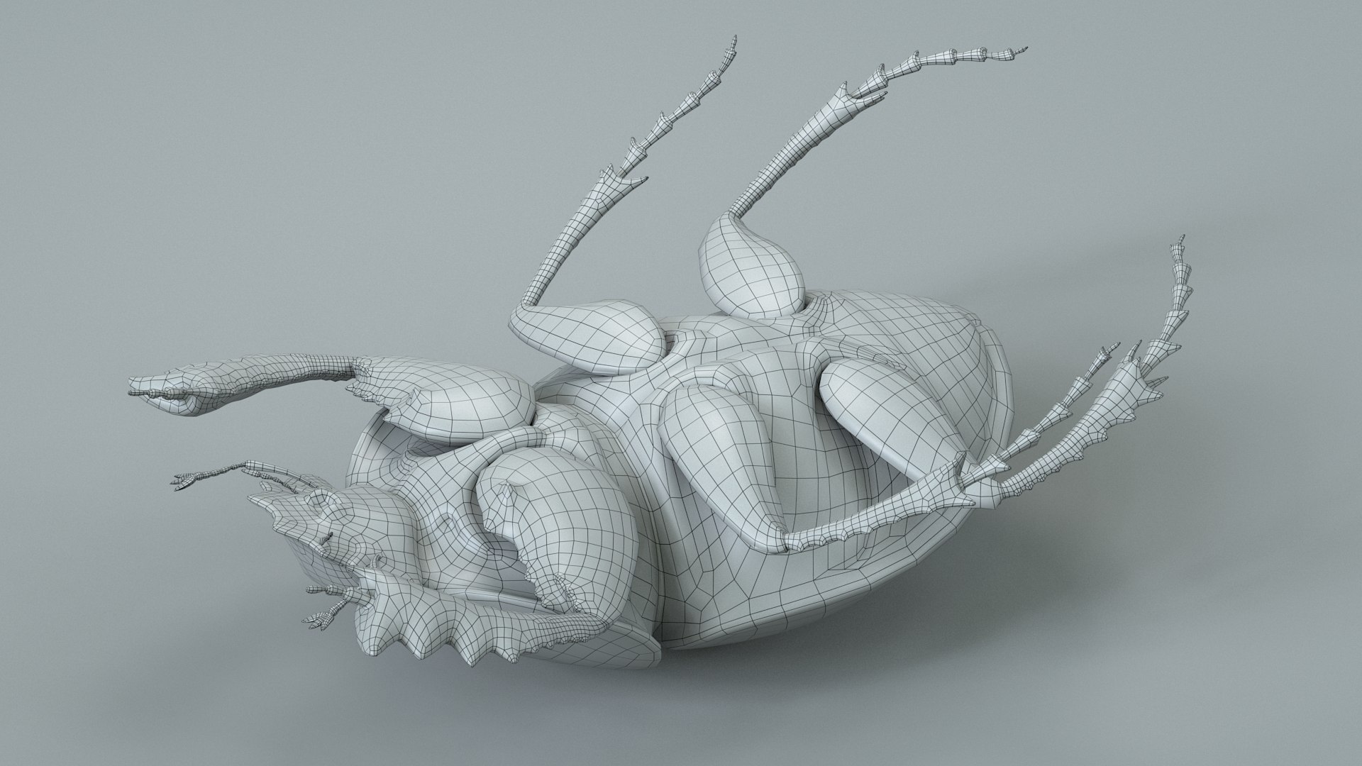 3D Black Scarab Beetle Rigged Xgen model https://p.turbosquid.com/ts-thumb/Nj/puh3DS/EL/scarab_beetle_32/jpg/1715321282/1920x1080/fit_q87/f0820684616e70d2ce675821332bf648e8117bc4/scarab_beetle_32.jpg