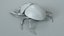 3D Black Scarab Beetle Rigged Xgen model
