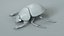 3D Black Scarab Beetle Rigged Xgen model