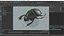 3D Black Scarab Beetle Rigged Xgen model