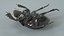 3D Black Scarab Beetle Rigged Xgen model