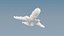 Cloud Airplane - VDB