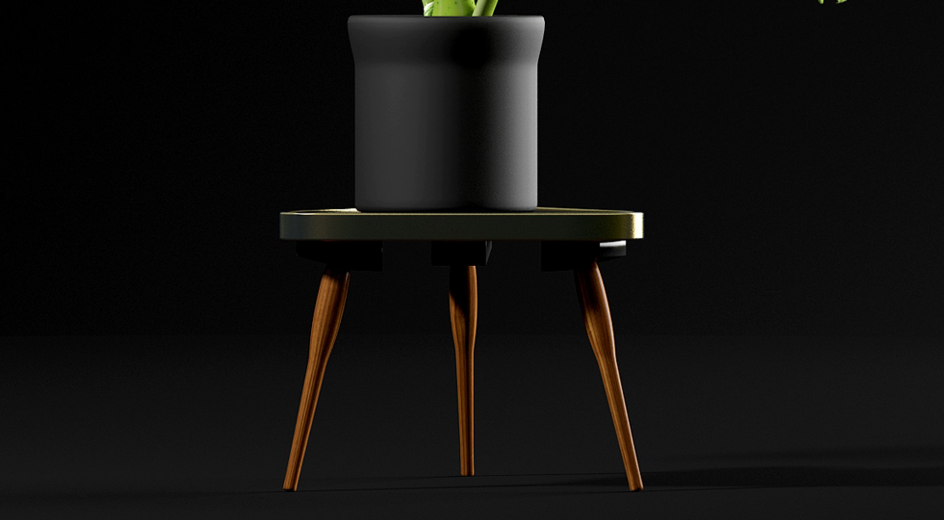 3d model cheese plant https://p.turbosquid.com/ts-thumb/Nk/2IwQNT/uq3z1eCL/4/jpg/1467231898/1920x1080/fit_q87/341111f51245ab2480db3b37285e93378beede9f/4.jpg