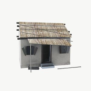 Damage Straw Roof House