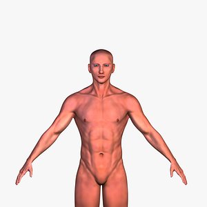 Male Base Mesh