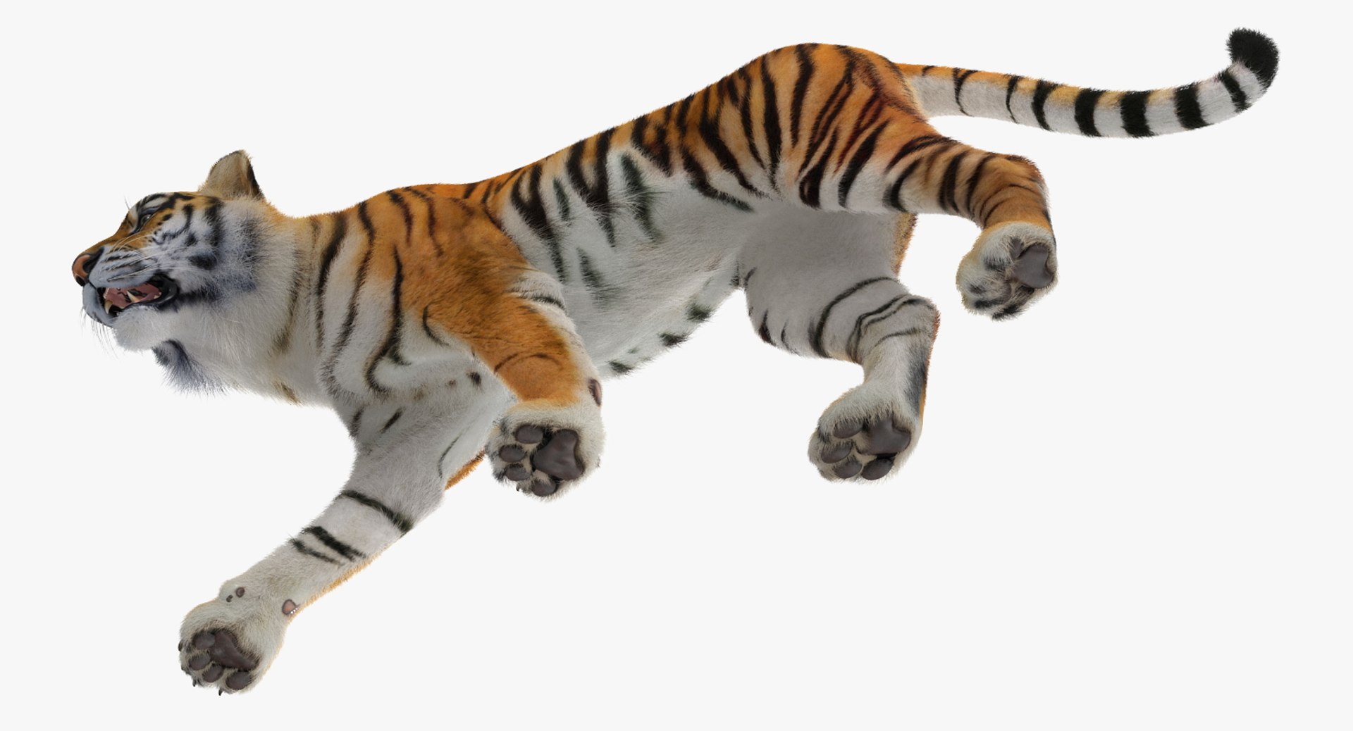 tiger walkig pose fur 3D model https://p.turbosquid.com/ts-thumb/Nk/EH456L/HaN5xjHB/tigerwalkigposewithfurvray3dmodel009/jpg/1522440929/1920x1080/fit_q87/3b4cf0dd2b2b138e1c9c61a8da9acca2d389479a/tigerwalkigposewithfurvray3dmodel009.jpg
