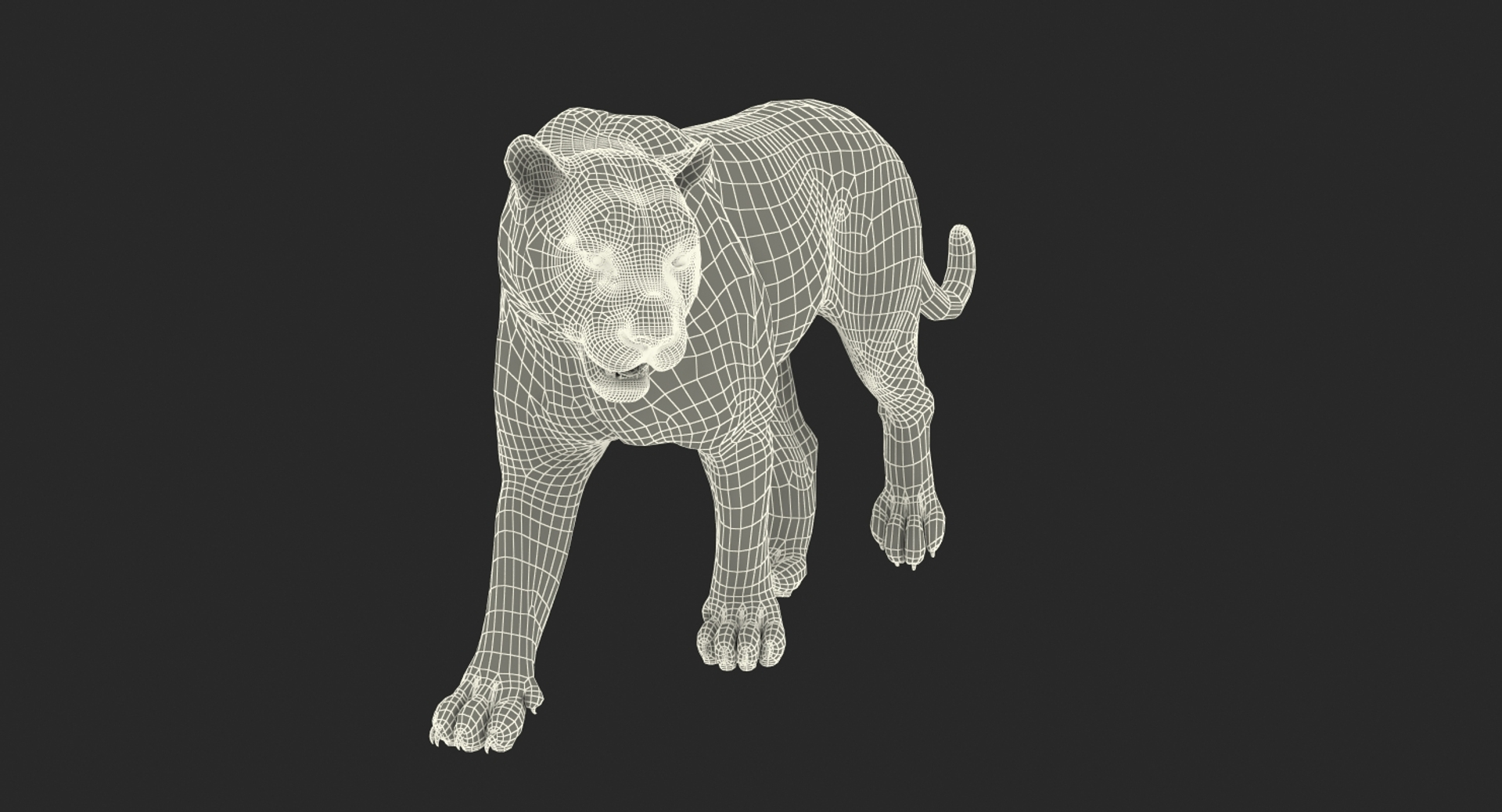tiger walkig pose fur 3D model https://p.turbosquid.com/ts-thumb/Nk/EH456L/hOUNaXcL/tiger_walkig_pose_with_fur_361/jpg/1522440646/1920x1080/turn_fit_q99/645951381d9c494e16998d88419a48937fd54dac/tiger_walkig_pose_with_fur_361-1.jpg