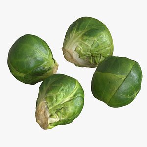 Brussels Sprouts 3D model