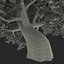 3d old red maple tree