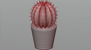 3D model Cactus in a pot
