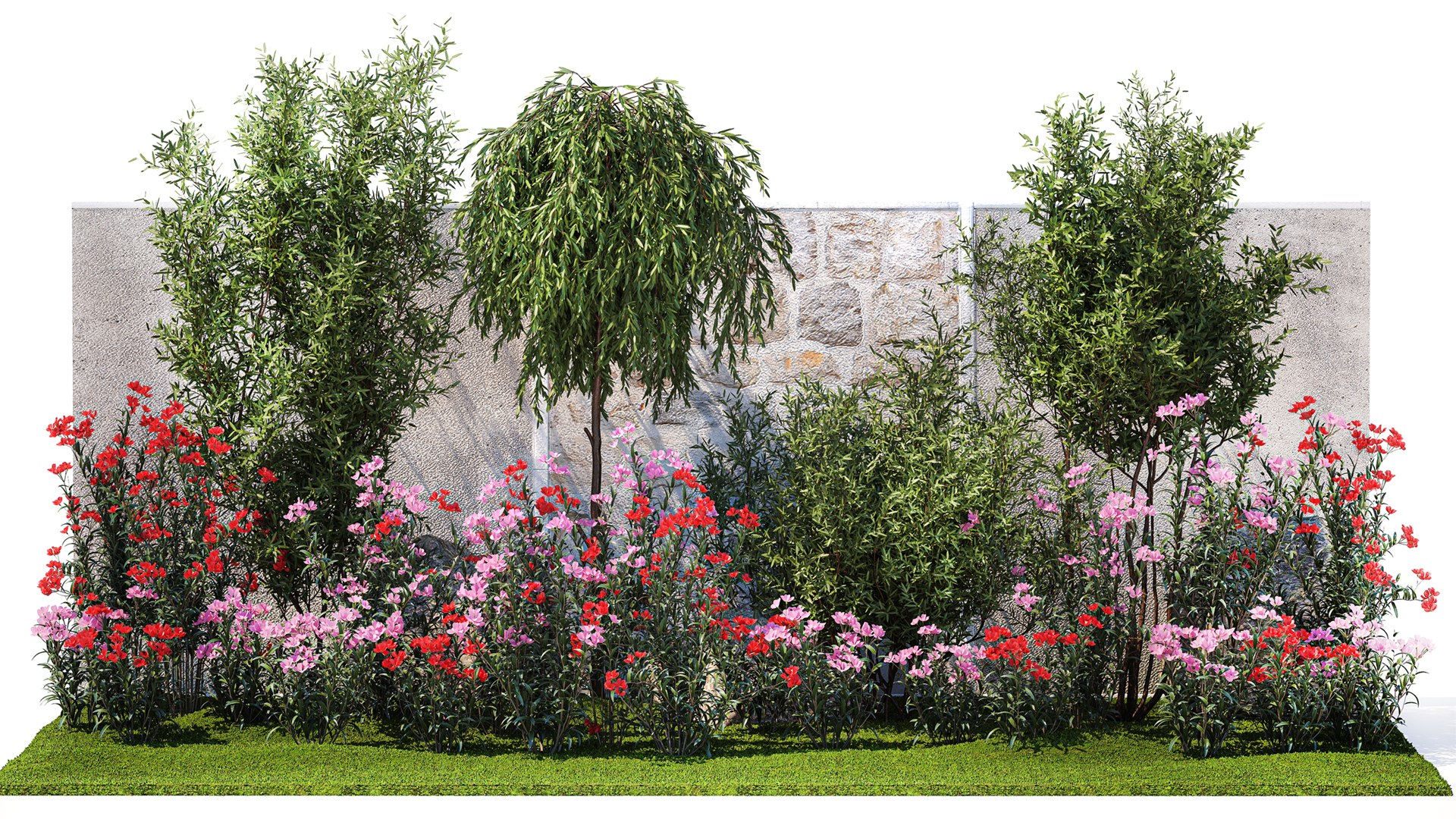 3D Beautiful garden with Olive Elaeagnus Oleander flowers 1371 model