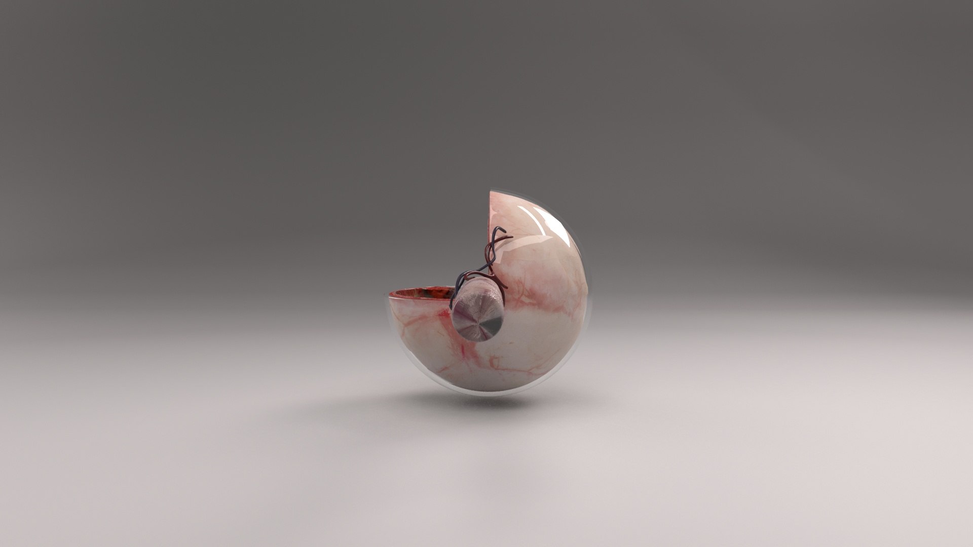 Eye Cross Section 3D model https://p.turbosquid.com/ts-thumb/Nk/Rsrop7/qW/ms00020_eyeopen_coronacamera004_/jpeg/1676323134/1920x1080/fit_q87/b25a7c13686169a3ef5c213b686220c2fa102c5c/ms00020_eyeopen_coronacamera004_.jpg