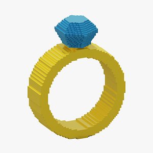 Voxel Ring