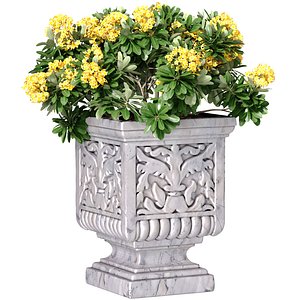 Outdoor garden plant tree in a marble vase planter urn flowerpot 3D model 3D model