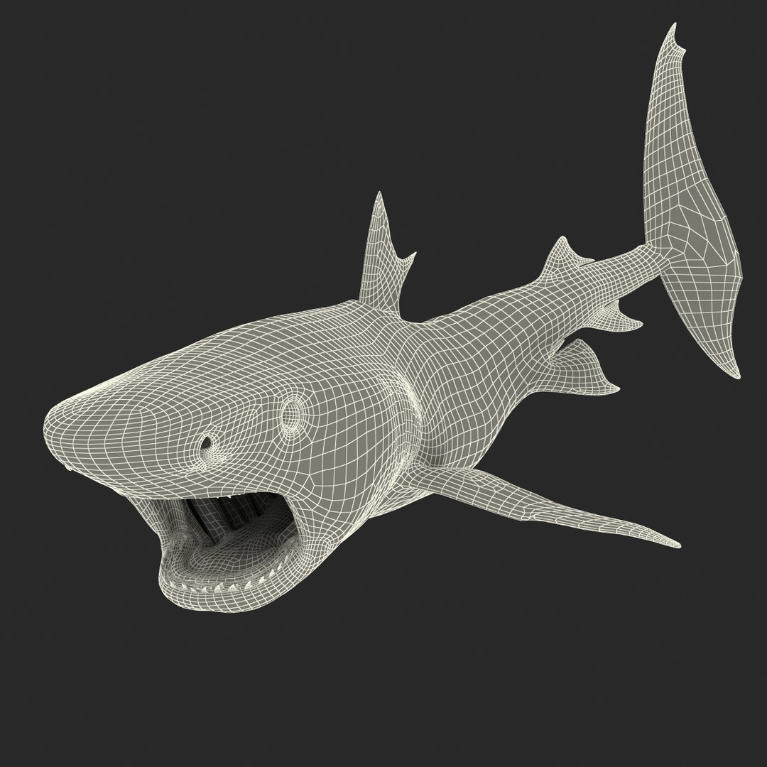 tiger shark rigged 3d max https://p.turbosquid.com/ts-thumb/Nk/pAKEdr/0DSNRk5m/tigersharkrigged3dmodel33/jpg/1433915293/1920x1080/fit_q87/9f87ab6e0fcf38efb918afd848991a1279f5bec3/tigersharkrigged3dmodel33.jpg