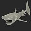 Tiger Shark Rigged
