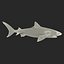 Tiger Shark Rigged