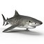 Tiger Shark Rigged