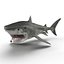 Tiger Shark Rigged