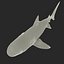 Tiger Shark Rigged