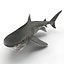 Tiger Shark Rigged
